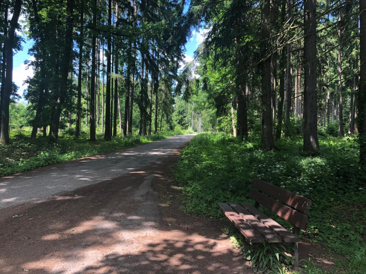 Apartmány Jevany Esterno foto
